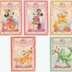 ディズニーリゾート◇40周年◇クリアホルダー５枚セット◇クリアファイル◇TOKYO DISNEY RESORT◇Ａ４サイズの画像1