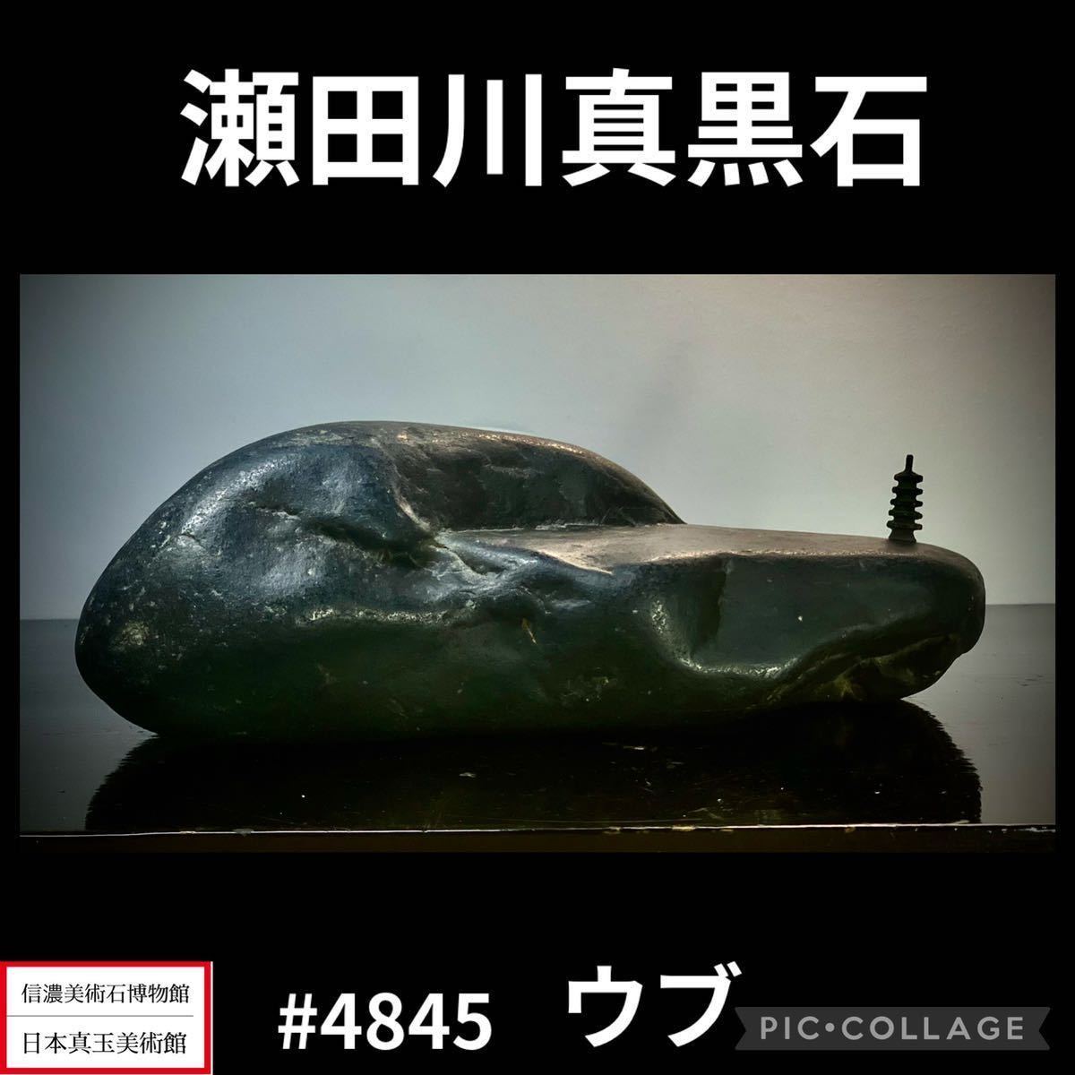 2023年最新】ヤフオク! -水石 鑑賞石 瀬田川の中古品・新品・未使用品一覧