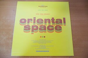E2-010＜12inch/美品＞Oriental Space / Scorpion -Critical System Mix-