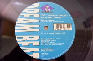 E2-145＜12inch/伊盤/美盤＞Joe T. Vannelli Project Feat. Alison Limerick / Never Knew