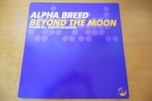 E2-299＜12inch/蘭盤/美盤＞Alpha Breed / Beyond The Moon_画像1