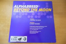 E2-299＜12inch/蘭盤/美盤＞Alpha Breed / Beyond The Moon_画像2