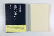 丸谷才一文芸評論集 梨のつぶて 初版 装幀/平野甲賀 函 帯_画像1