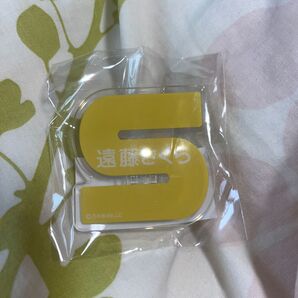 乃木坂46 遠藤さくら アクリルネームクリップ