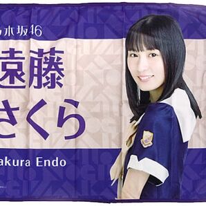 乃木坂46 遠藤さくら ブランケット 2019 4期 エース