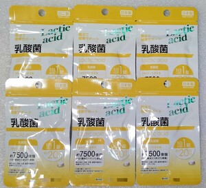 乳酸菌【合計120日分6袋】1日1錠 菌活で健康サポート 栄養機能食品 日本製 サプリメント