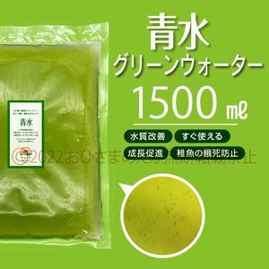 初心者からプロ【青水　グリーンウォーター　1500ml】メダカ　めだか卵　金魚　熱帯魚　ミジンコ　ゾウリムシ　ミドリムシ　PSB　どうぞ