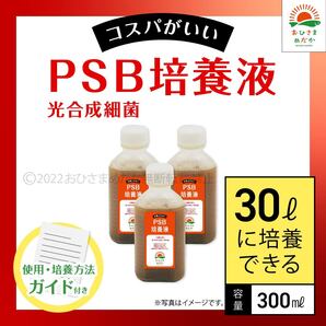 【PSB培養液 300ml 30L培養分 送料無料】光合成細菌 メダカ めだか 金魚 ミジンコ ゾウリムシ クロレラ ミジンコ に最適