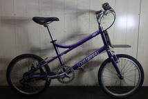 人気良品！LOUIS GARNEAUルイガノ LGS-MV1 20型 アルミ シマノ7速 370mm minivelo_画像1