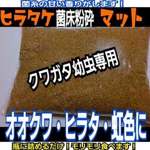 改良版!菌床粉砕クワガタマット 瓶に詰めるだけ! オオクワ、ヒラタ、ニジイロ、ノコギリに! 初令から羽化までOK!菌糸の甘い香りする