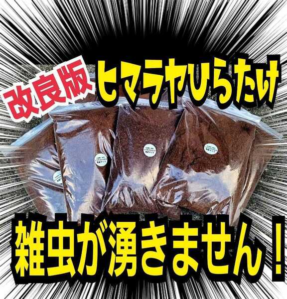 雑虫、コバエがわきません！　改良版　ヒマラヤひらたけ発酵カブトムシマット【４袋】幼虫の餌・産卵に抜群　ギネスサイズ羽化実積多数あり