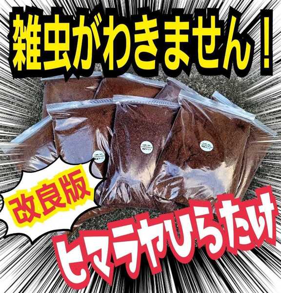 雑虫、コバエがわきません! 改良版☆ヒマラヤひらたけ発酵カブトムシマット【3袋】幼虫の餌・産卵に抜群 栄養添加剤入り 丸々太ります