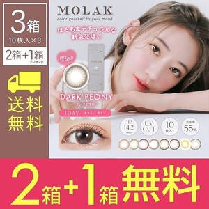 2箱購入ごとに1箱無料【3箱SET】 モラク ワンデー MOLAK 1DAY 2箱 10枚 度あり 度なし カラコン 1日使い捨て モラクワンデー