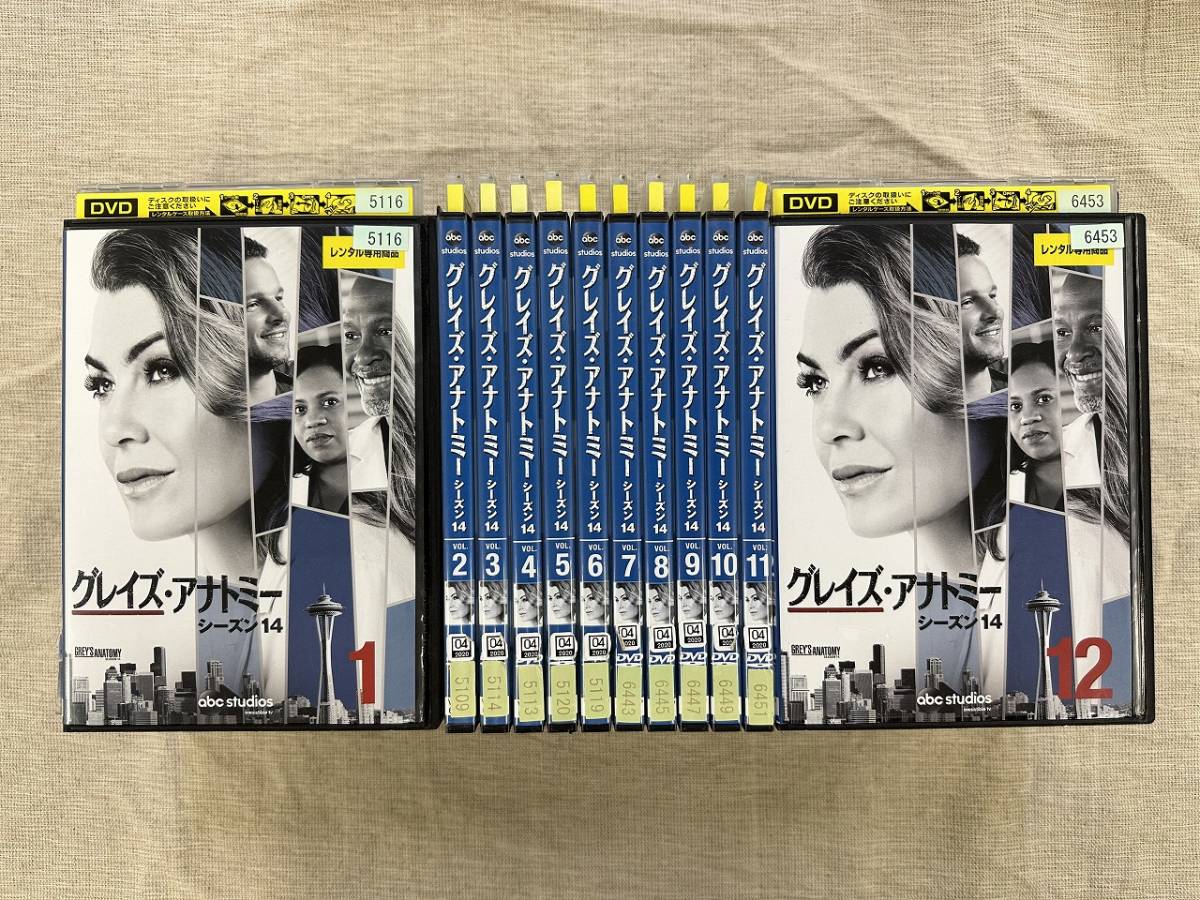 2023年最新】ヤフオク! -#アナトミーの中古品・新品・未使用品一覧