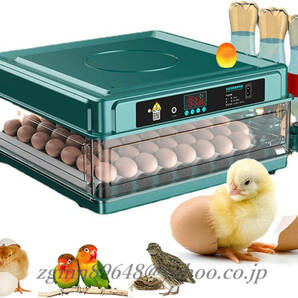 自動インキュベーター 鳥類専用ふ卵器 自動温度制御 自動給水式 簡単操作 低騒音 ウズラの卵/鶏/アヒル/ガチョウ/ウズラ/鳥の孵化用-64卵の画像1
