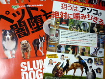 スラムドッグス　映画　チラシ　５枚　ユニバーサルスタジオ　　犬　コメディ_画像2