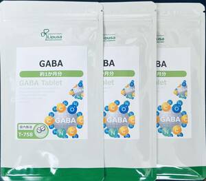 【送料無料】GABA　約3ヶ月分(1ヶ月分60粒×3袋)　ギャバ　γ-アミノ酪酸　サプリメント　リプサ 