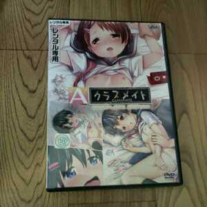 Aサイズ Anime Edition Complet Edition ミニ系 貧乳 微乳 岡田コウ原作JScippai アダルト アニメ Q62　　新品開封未使用