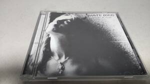 A1169　 『CD』　Corazon De Brief　/　　Maite Dono　マイテドノ