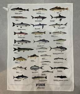 送料込　タペストリー　フィッシュ　FISH　ポスター　魚　図鑑