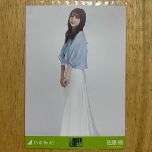 乃木坂46 佐藤楓 シアートップスxスカート 生写真 ヒキ 1枚 検) 会場 限定 アンダーライブ アンダラ 横浜アリーナ