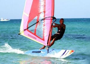  windsurfing complete set new goods [ window surfer ] Japan nationwide free shipping 