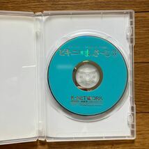 DVD 素人・THEビキニDEまっさ〜じ③_画像3