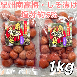 54【★1kg★ 紀州南高梅 しそ漬け梅 500g×2点】和歌山 梅干し 梅