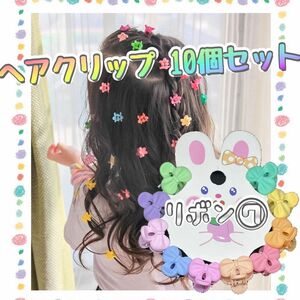 ミニヘアクリップ ヘアクリップ ヘアピン カラフル 編み込み 編み込みヘア ヘアアレンジ 運動会 発表会 