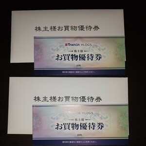 ヤマダ電機 株主優待 10000円分 (500円券10枚x2冊) 2023年12月末期限