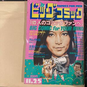 ビッグコミック　1982年11月25日号　巻頭カラー「土佐の一本釣り」　手塚治虫　石森章太郎　さいとうたかを　白土三平　ジョージ秋山