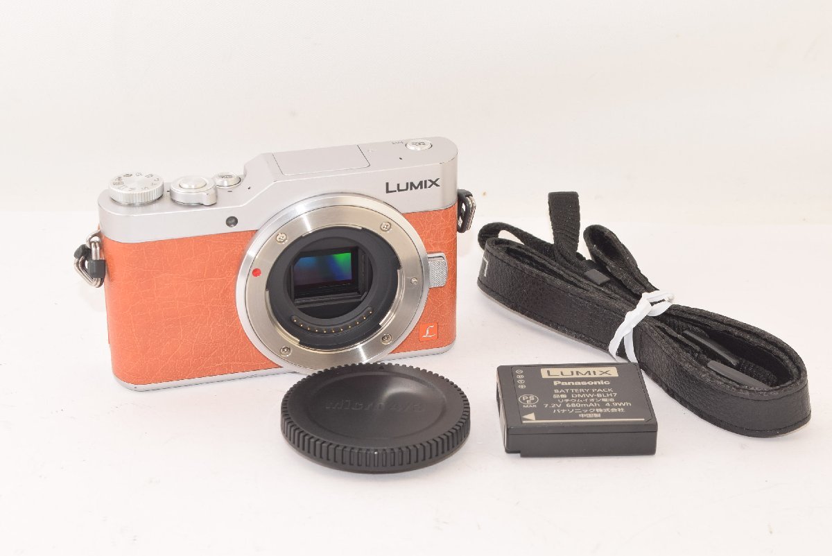 2023年最新】ヤフオク! -lumix gf9の中古品・新品・未使用品一覧