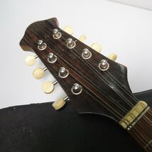 m002 G4 鈴木バイオリン マンドリン No.226 1965 SUZUKI VIOLIN 楽器 弦楽器 MANDOLIN アンティーク レトロ ハードケース_画像5