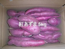 さつまいも 紅あずま 5kg千葉県産農家直送 規格外品（正味5.5ｋｇ以上入れます）No2_画像1