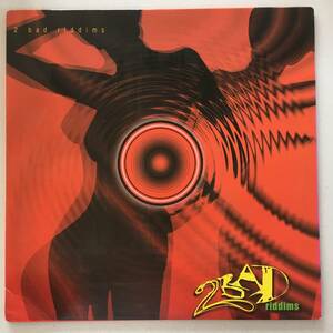 Various / 2 Bad Riddims　[Platinum Distribution - PDXL2002]