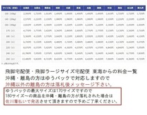 【HW34-48】【140サイズ】未検品/ F1プラモデル まとめてセット/タミヤ/ロータス ベネトン ジョーダン 他/※傷 汚れ他_画像7