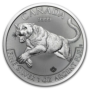 [ written guarantee * capsule with a self-starter ] 2016 year ( new goods ) Canada [ cougar ] original silver 1 ounce silver coin 