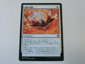 MTG 美品 【無傷の発現】 （コモン） アイコニックマスターズ IMA 日 4枚迄