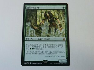 MTG 美品 【遺産のドルイド】 （レア） エターナルマスターズ EMA 日 2枚迄