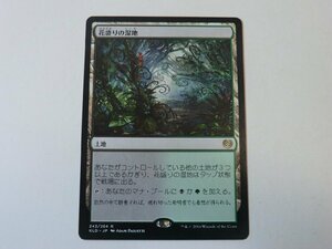 MTG 美品 【花盛りの湿地】 （レア） カラデシュ KLD 日 2枚迄