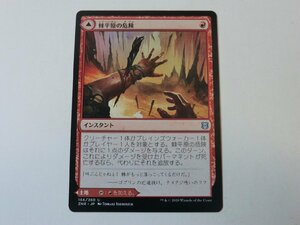 MTG 美品 【棘平原の危険】 （アンコモン） ゼンディカーの夜明け ZNR 日 6枚迄