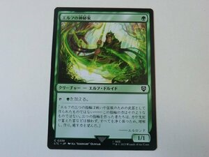 MTG 美品 【エルフの神秘家】 （コモン） 指輪物語：中つ国の伝承 LTC 日 2枚迄