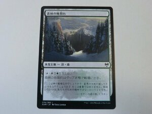 MTG 美品 【森林の地割れ】 （コモン） カルドハイム KHM 日 2枚迄