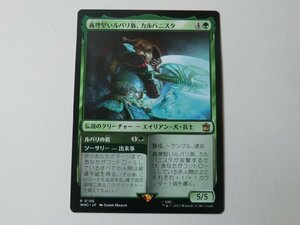 MTG 美品 【義理堅いルパリ族、カルバニスタ】 （レア） ドクター・フー WHO 日 9枚迄