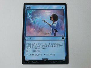 MTG 美品 【思案】 （コモン） ドクター・フー WHO 日 2枚迄