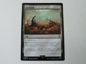 MTG 美品 【灰のやせ地】 （アンコモン） ドクター・フー WHO 日 9枚迄