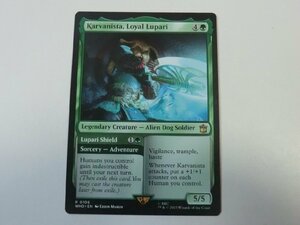 MTG 美品 【義理堅いルパリ族、カルバニスタ】 （レア） ドクター・フー WHO 英 6枚迄