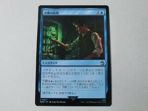 MTG 美品 【光輝の高揚】 （アンコモン） ドクター・フー WHO 日 9枚迄