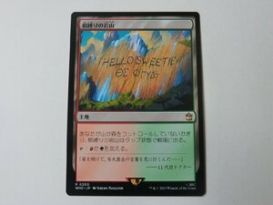 MTG 美品 【根縛りの岩山】 （レア） ドクター・フー WHO 日 8枚迄