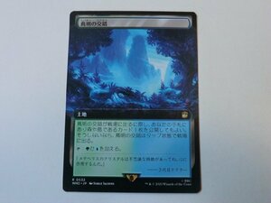 MTG 美品 【蔦明の交錯（拡張アート）】 （レア） ドクター・フー WHO 日 4枚迄